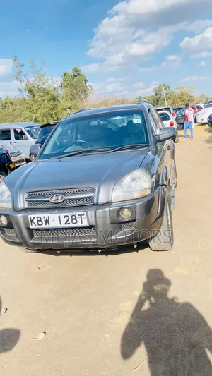 Hyundai Tucson 2006 Gray