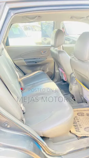Hyundai Tucson 2006 Gray