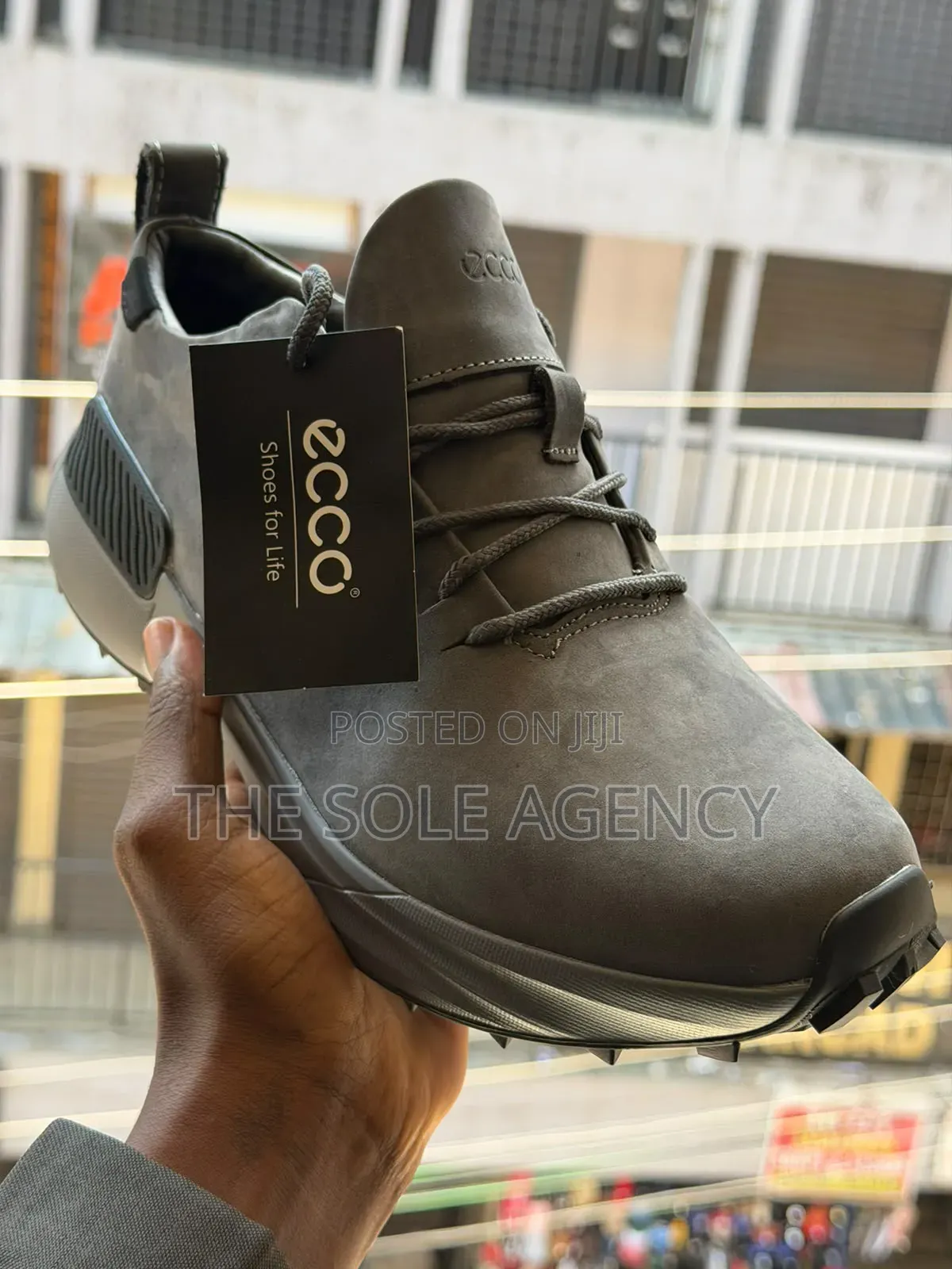Ecco Shoes