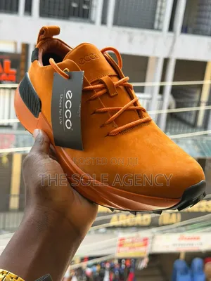 Ecco Shoes