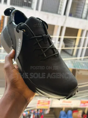 Ecco Shoes