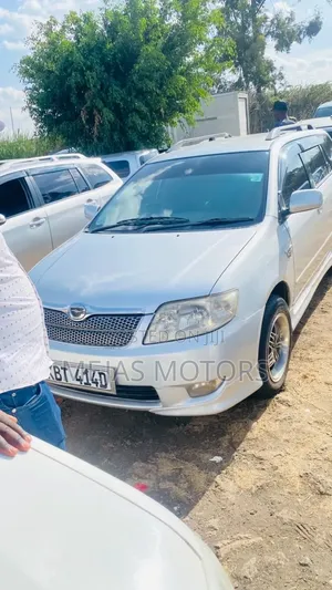 Toyota Corolla Fielder 2006 Silver