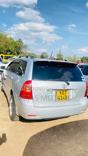 Toyota Corolla Fielder 2006 Silver