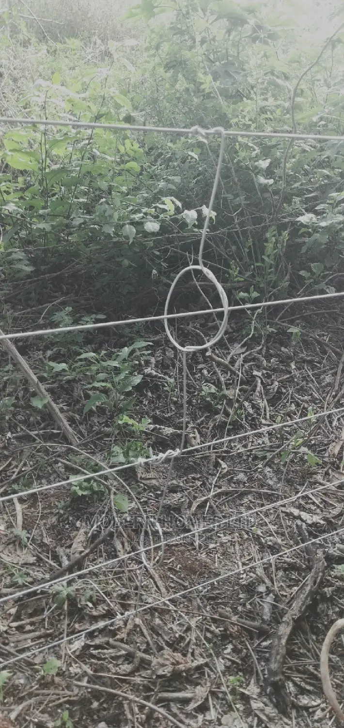 Electric Fence Systems (Residential Commercial)