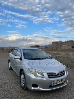 Toyota Axio 2009 Silver
