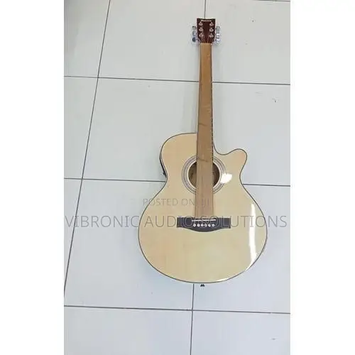 Ibanez Semi-38 Guitar