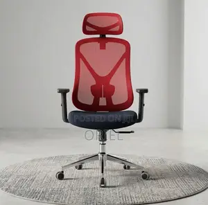 Office Chair : Red Orthopedic Chair