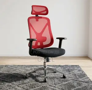 Office Chair : Red Orthopedic Chair