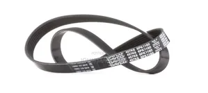 (6PK1160) Fan Belt for Nissan Fuga