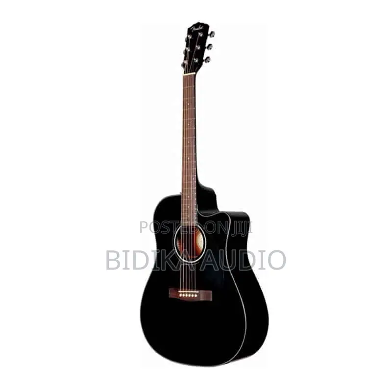 Fender Semi Acoustic Guitars