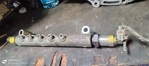 Common Rail 1kd