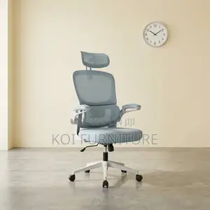 Office Chair : White and Grey Ergonomic Mesh Office Chair