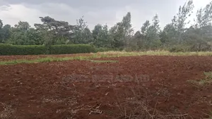 1 Acre Available Land for Sale Kikuyu Gikambura