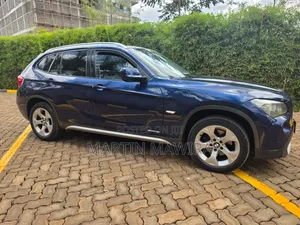 BMW X1 2012 Blue