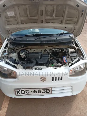 Suzuki Alto 2015 White