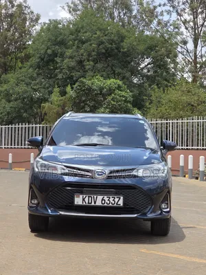 Toyota Corolla Fielder 2019 Black
