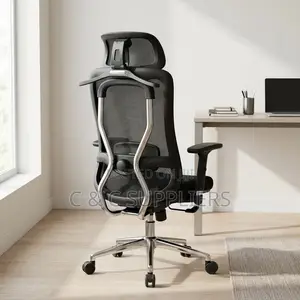 Ergonomic Executive Lumber Task Chair.