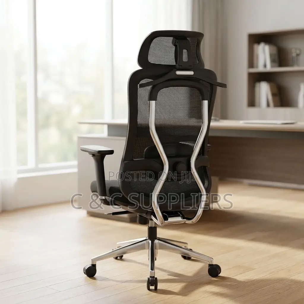 Ergonomic Executive Lumber Task Chair.