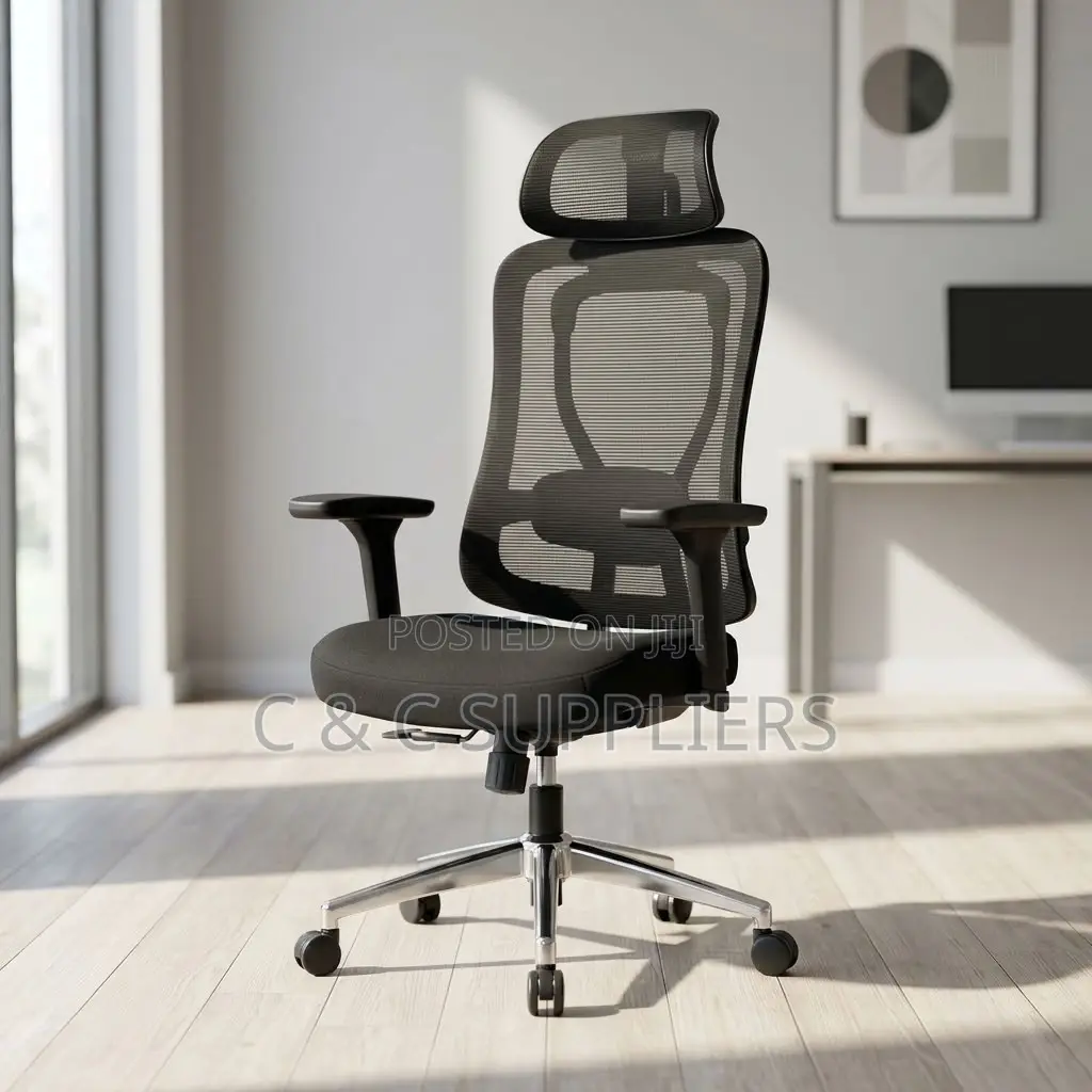 Ergonomic Executive Lumber Task Chair.