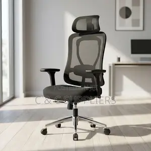 Ergonomic Executive Lumber Task Chair.