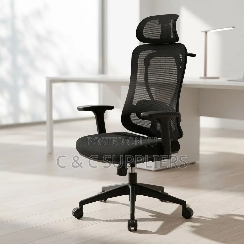 Ergonomic Executive Lumber Task Chair.
