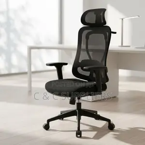 Ergonomic Executive Lumber Task Chair.
