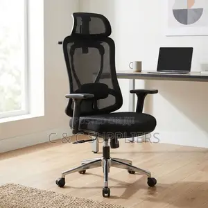 Ergonomic Executive Lumber Task Chair.
