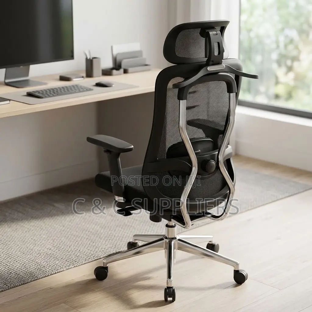 Ergonomic Executive Lumber Task Chair.
