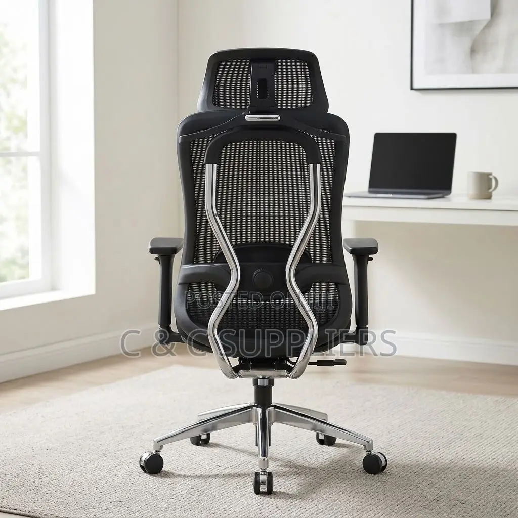 Ergonomic Executive Lumber Task Chair.
