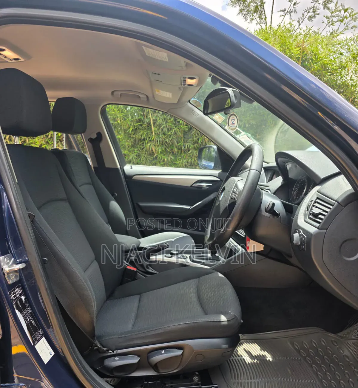 BMW X1 2012 Blue