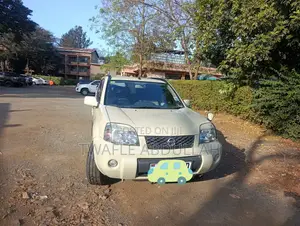 Nissan X-Trail 2004 Beige