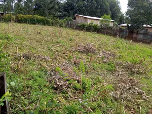Land for Sale.