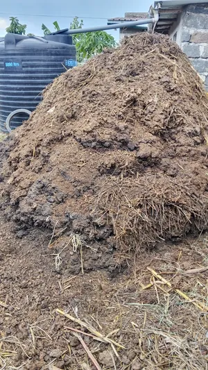 Dry Manure for Sale.