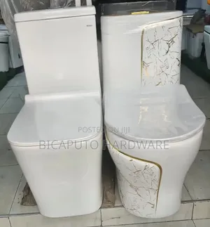 One Piece Toilet