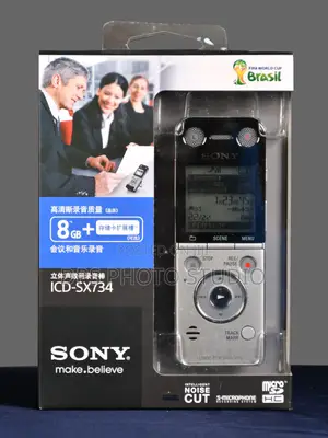 Sony Icd-Sx 734