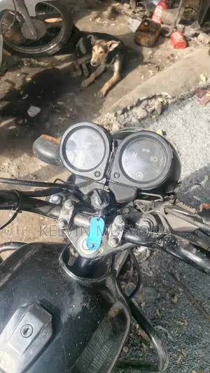 Yamaha Crux 2014 Brown
