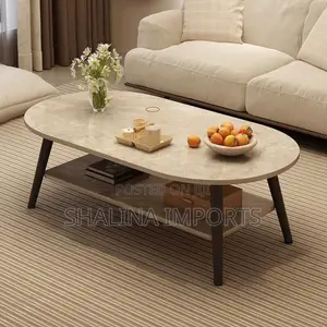 Minimalist Oval Coffee Table With a Lower Storage Shelf