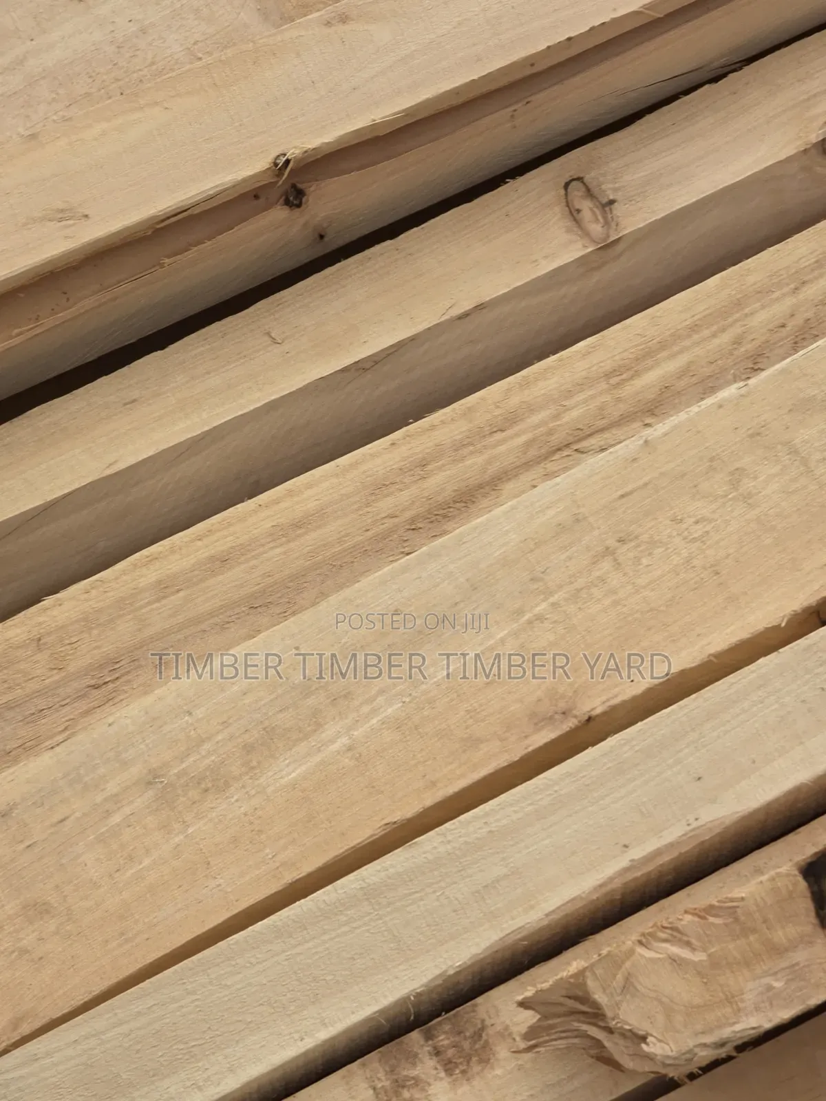 Pine and Pinus Timber