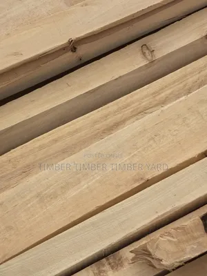 Pine and Pinus Timber