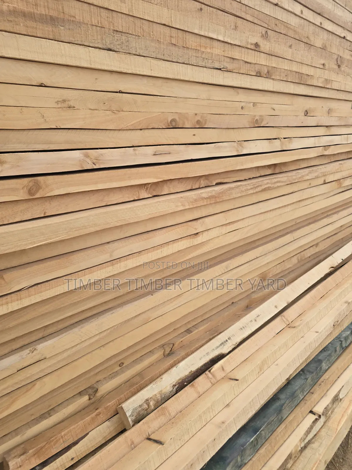 Pine and Pinus Timber