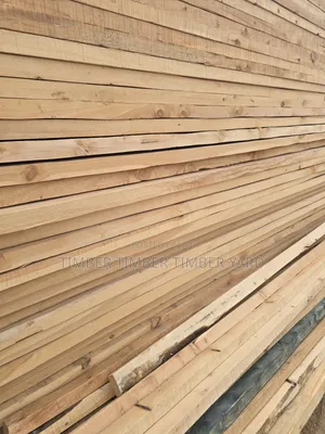 Pine and Pinus Timber