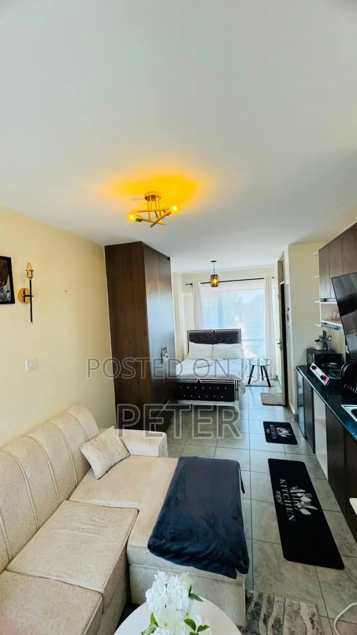 Long and Short Stay Studio Apartment