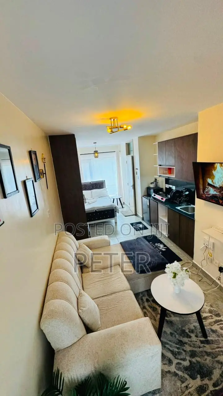 Long and Short Stay Studio Apartment