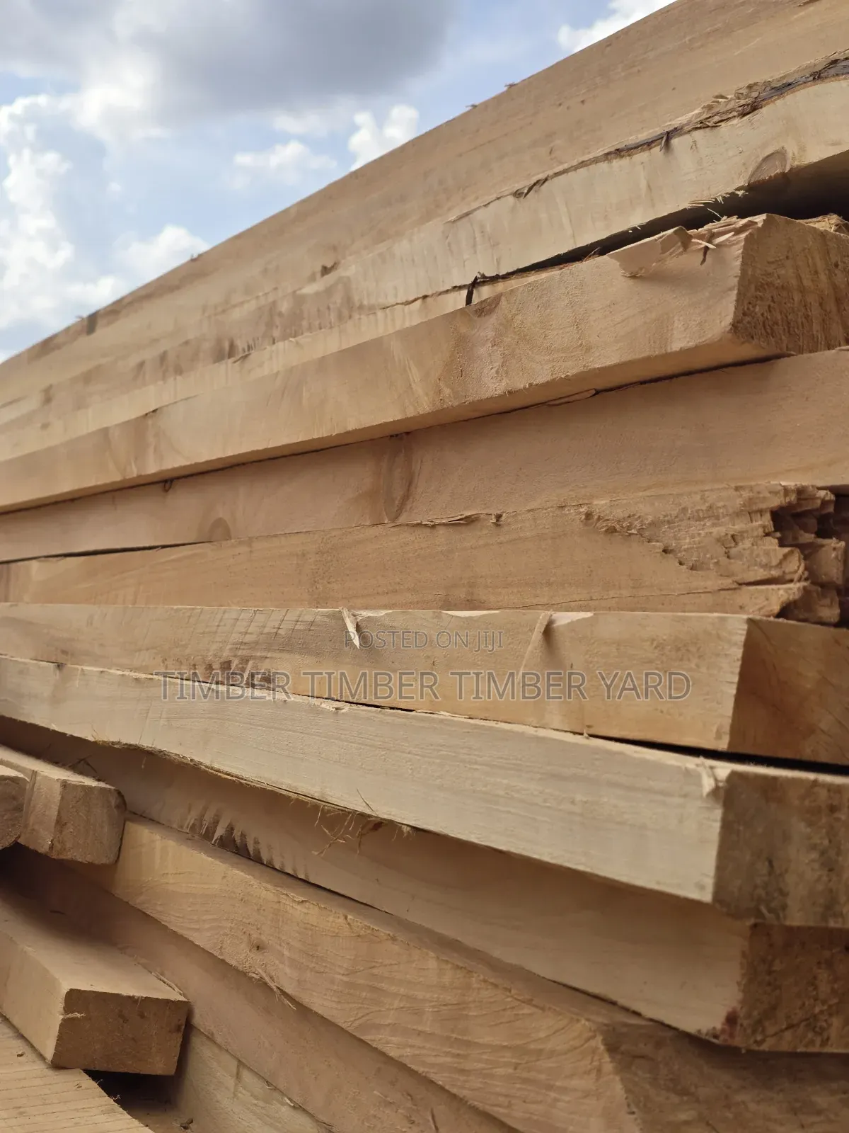 Cyprus Timber