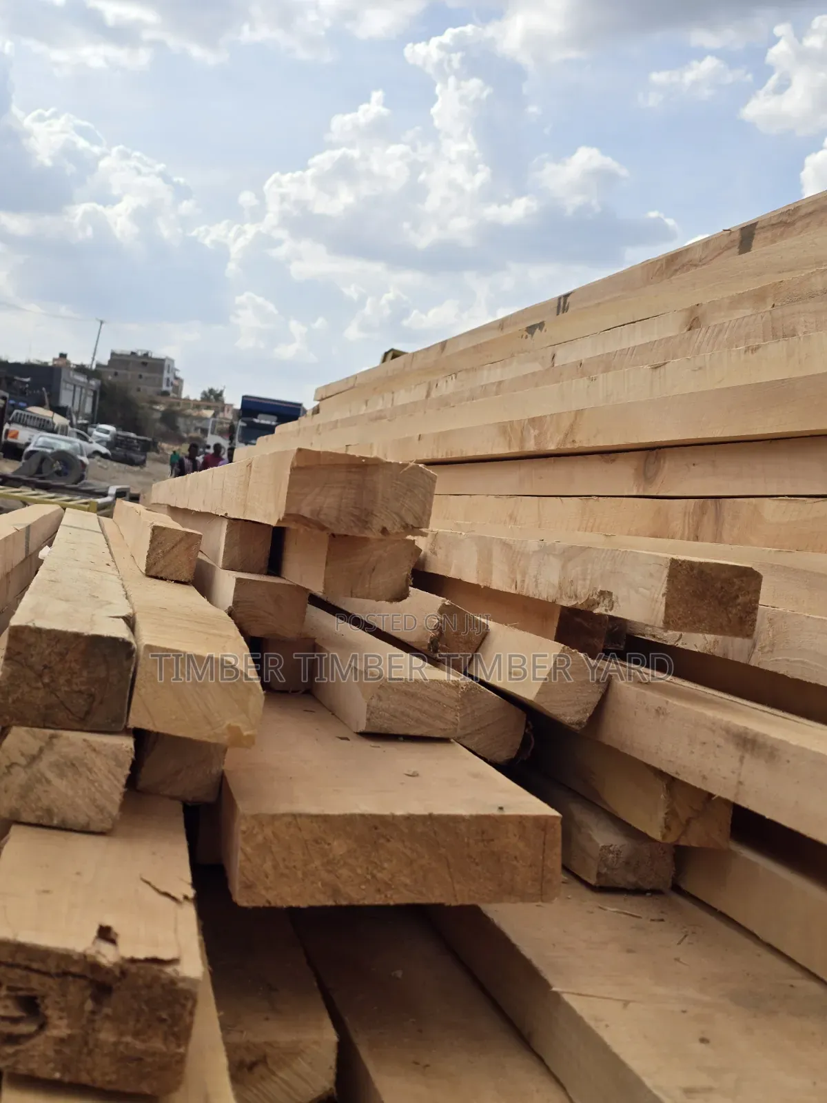 Cyprus Timber