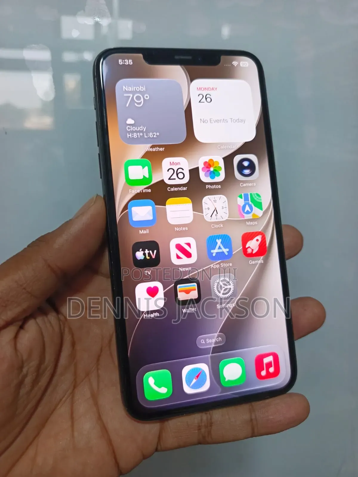 Apple iPhone 11 Pro Max 256 GB Gray