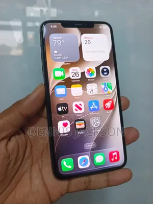 Apple iPhone 11 Pro Max 256 GB Gray