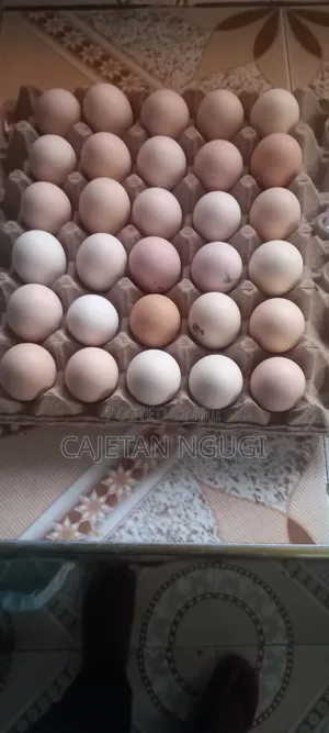 Pure Kienyeji Eggs