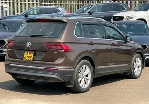 Volkswagen Tiguan 2017 Brown