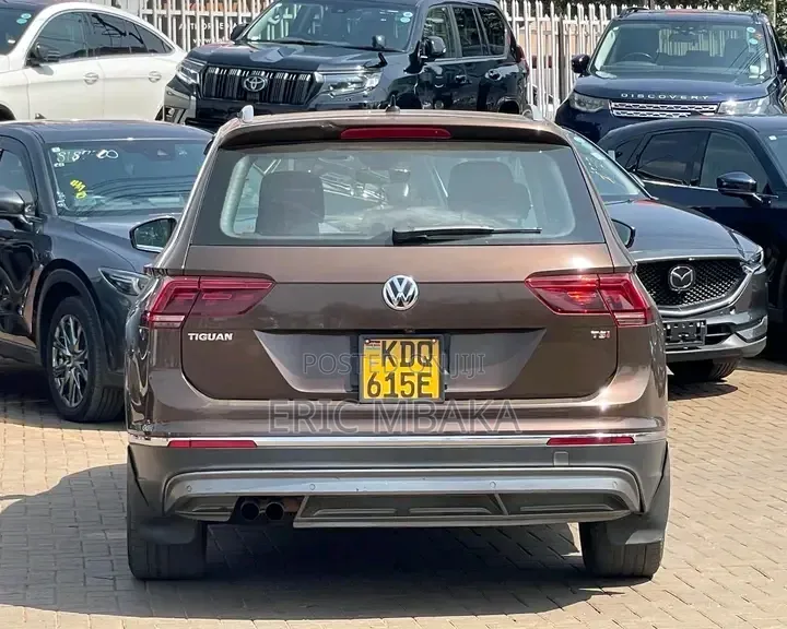Volkswagen Tiguan 2017 Brown